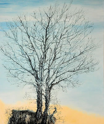 Artists at Broomhill