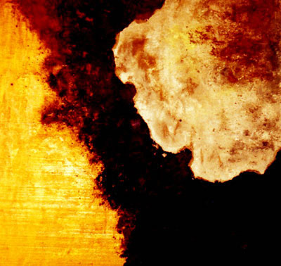 Artists at Broomhill