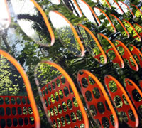 Graham Guy-Robinson with Permanently Temporary 2012