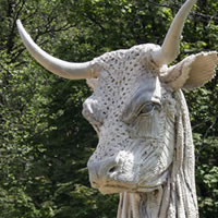 Dorcas Casey - Familiar